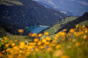 Dans le massif du Beaufortain, vous pouvez pratiquer des activités de plein air comme le ski, les randonnées, ou découvrir les spécialités locales comme le Beaufort.